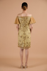 Chamagne Shaded Dress_DTR4451