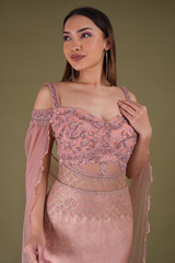 Peach Net GownDSC04283