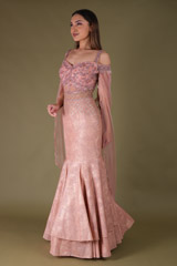 Peach Net GownDSC04284