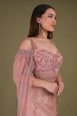 Peach Net GownDSC04287