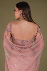 Peach Net GownDSC04290