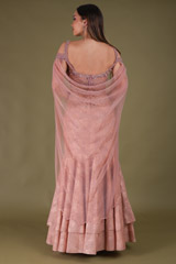 Peach Net GownDSC04291