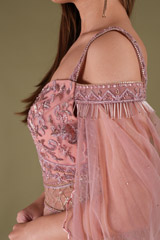 Peach Net GownDSC04292