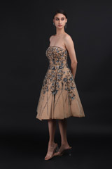 Beige Embellished DressIMG_9937