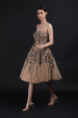 Beige Embellished DressIMG_9942