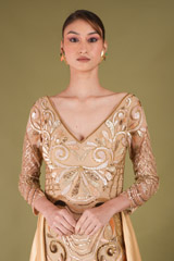 Golden Embroidered GownDSC05513
