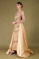 Golden Embroidered GownDSC05515