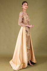 Golden Embroidered GownDSC05517