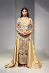 Golden Embroidered GownIMG_9277