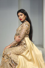 Golden Embroidered GownIMG_9402