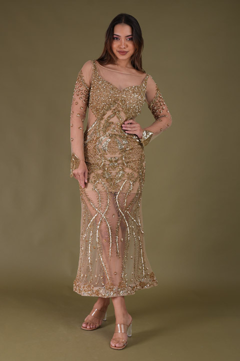 Gold Embellished Gown