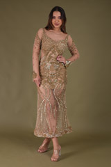 Gold Embellished Gown
