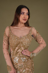 Gold Embellished GownDSC04468
