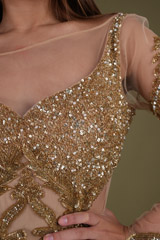 Gold Embellished GownDSC04469