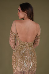 Gold Embellished GownDSC04476