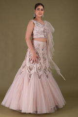 Pink Net Embroidered LehengaDSC04299