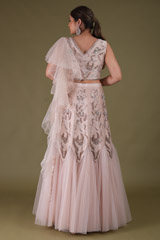 Pink Net Embroidered LehengaDSC04301