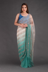 Blue Shaded Embroidered SareeIMG_3501