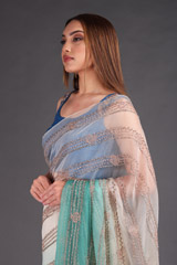 Blue Shaded Embroidered SareeIMG_3509