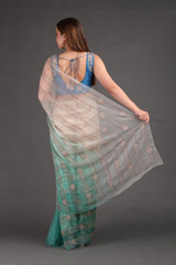 Blue Shaded Embroidered SareeIMG_3515