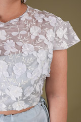 3D Flower Applique Top And Ruffle skirtDSC04106