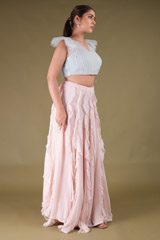 Ruffle Crop Top And SkirtDSC04089