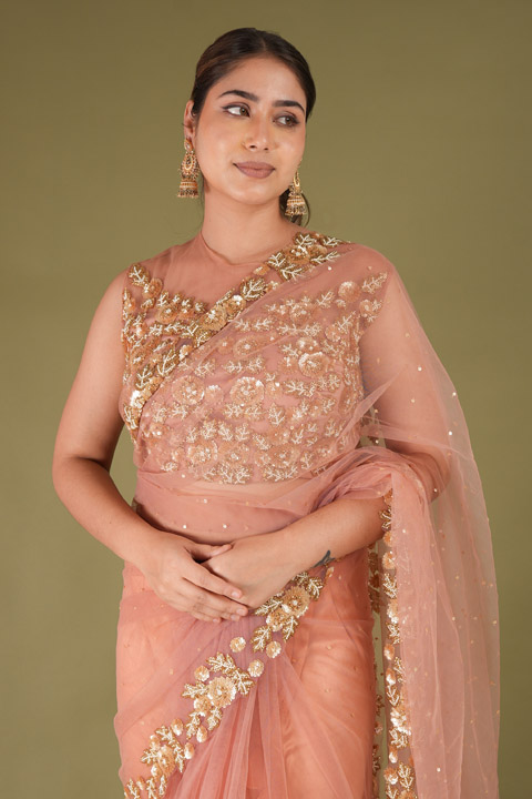 Pretty Peach Two Tier SareeDSC05785