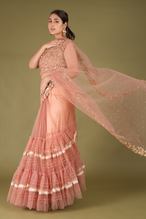 Pretty Peach Two Tier SareeDSC05786
