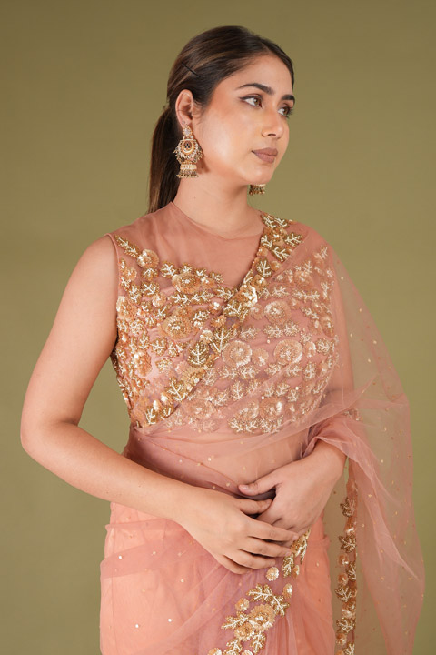 Pretty Peach Two Tier SareeDSC05787