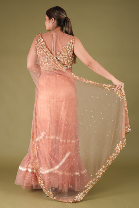 Pretty Peach Two Tier SareeDSC05789