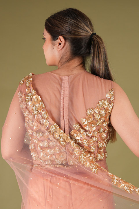 Pretty Peach Two Tier SareeDSC05790