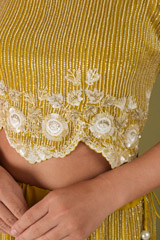 Mustard Yellow Blouse and SkirtDSC04638