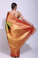 Green Silk SareeIMG_1349