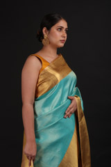 Blue Saree With Golden BorderIMG_1401