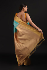 Blue Saree With Golden BorderIMG_1408