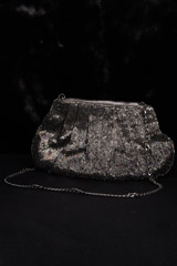 Full Sequin ClutchIMG_1510