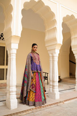 Multicolour Lehenga SetDSC04591