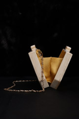 Diagonal Mop Box ClutchIMG_1384