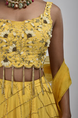 Yellow Embellished Lehenga_SUB8214