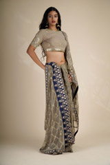 Beige Cutwork Net Saree_DSC4572