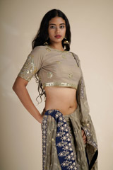 Beige Cutwork Net Saree_DSC4574
