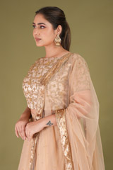 Zari Border LehengaDSC05043