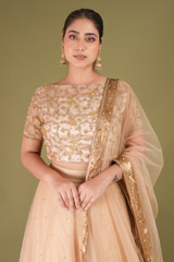 Zari Border LehengaDSC05044