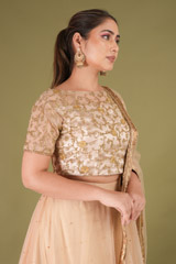 Zari Border LehengaDSC05045