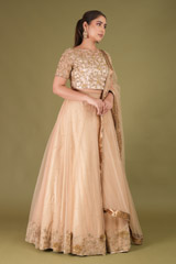 Zari Border LehengaDSC05046