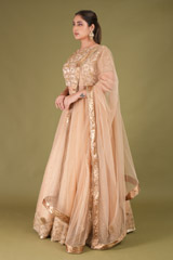 Zari Border LehengaDSC05047