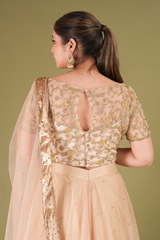 Zari Border LehengaDSC05052