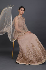 Beige Embellished LehengaCRSIMG_6422