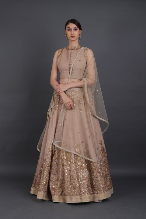 Beige Embellished Lehenga