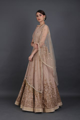 Beige Embellished LehengaIMG_6436